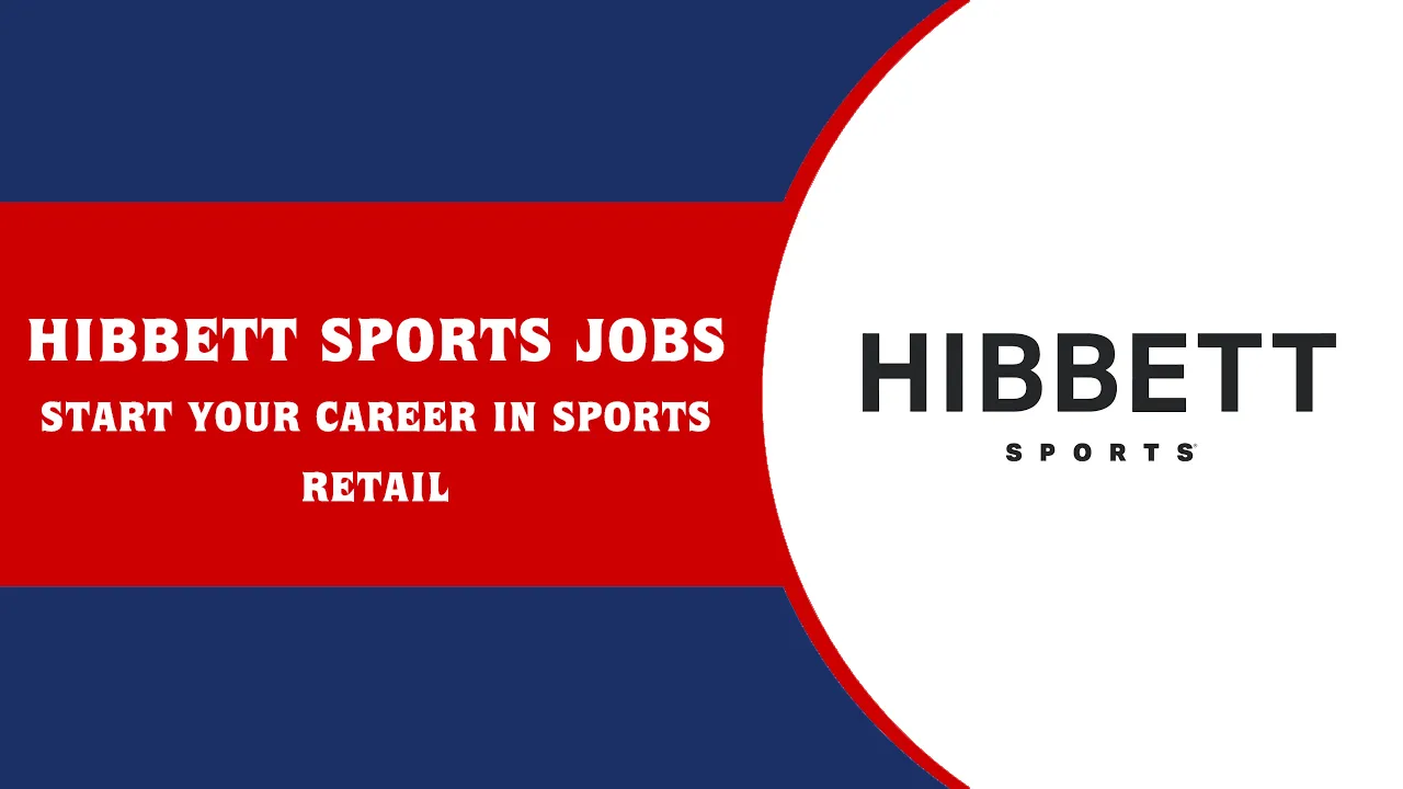 hibbett sports job application online